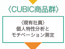 CUBIC���i�Q