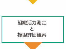 �g�D�͑���